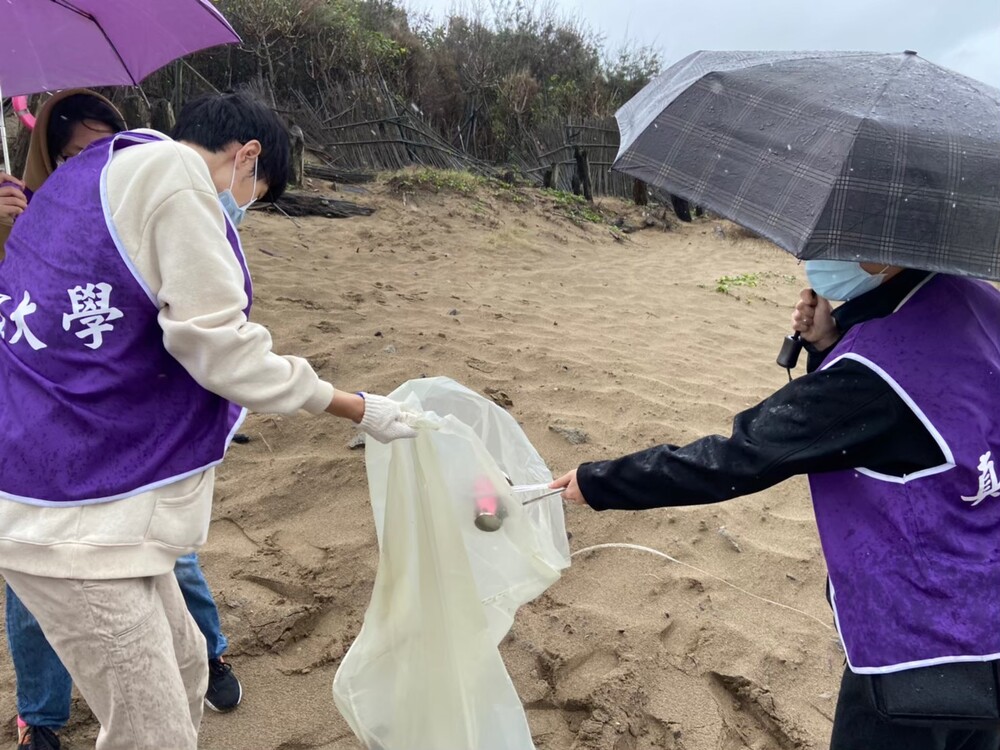 [20211127] 紫錐花淨灘圖片